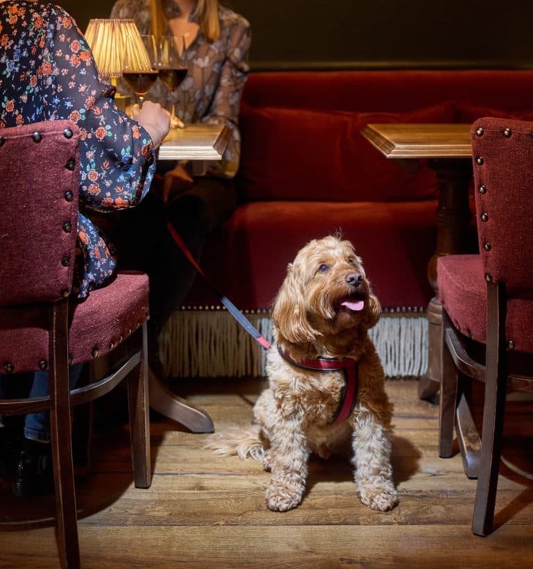 Cover Image for Lively lunchtimes at The Kings Arms