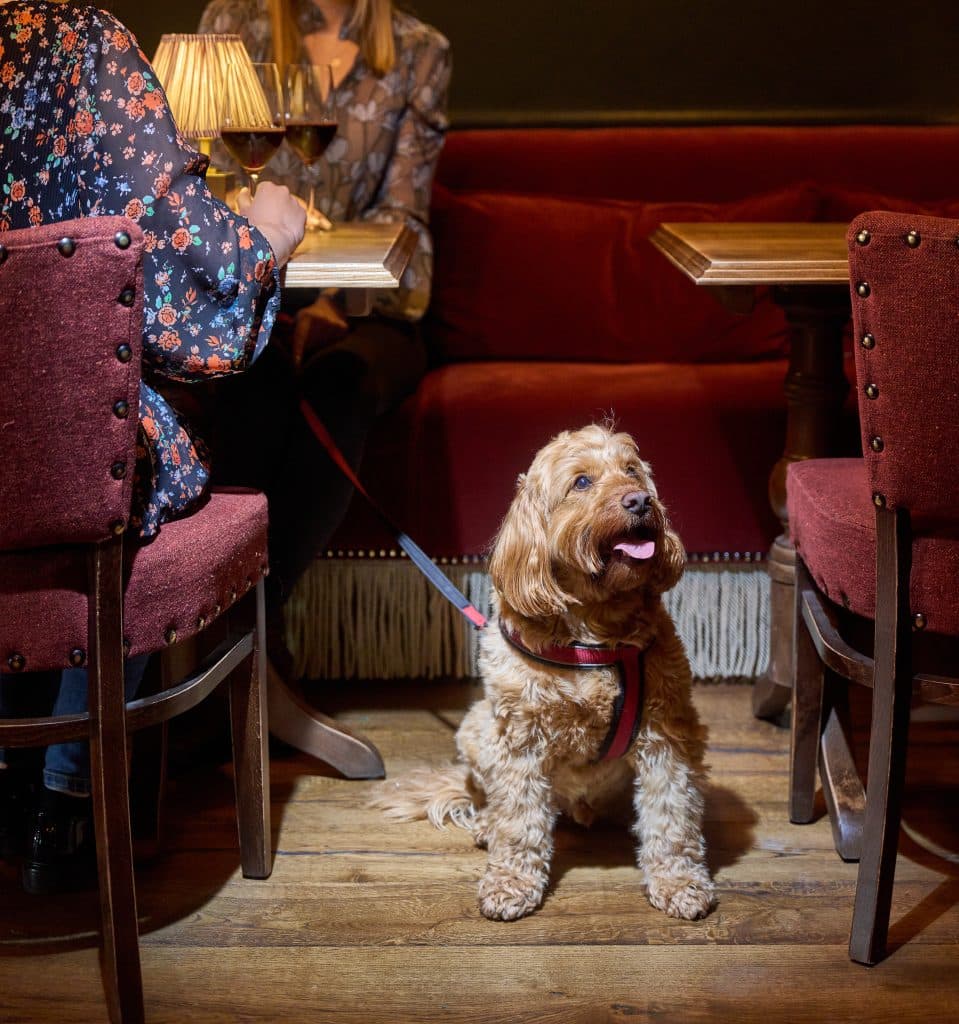 Cover Image for Lively lunchtimes at The Kings Arms